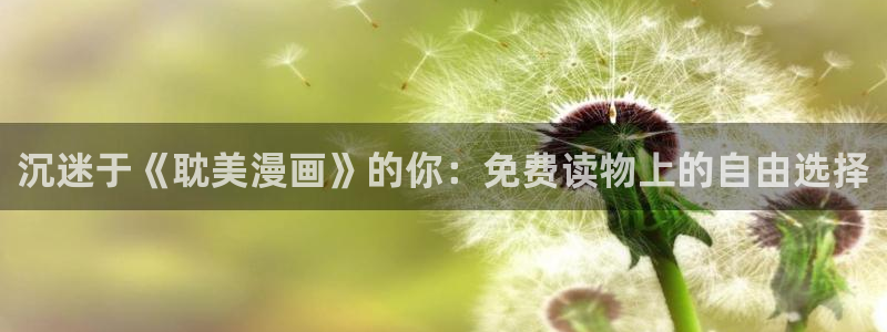 韩漫画在线免费看漫画网页：沉迷于《耽美漫画》的你：免费读物上的自由选择