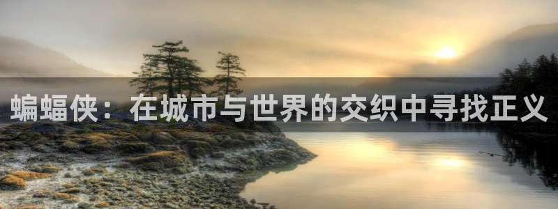 韩漫漫画网站免费观看：蝙蝠侠：在城市与世界的交织中寻找正义