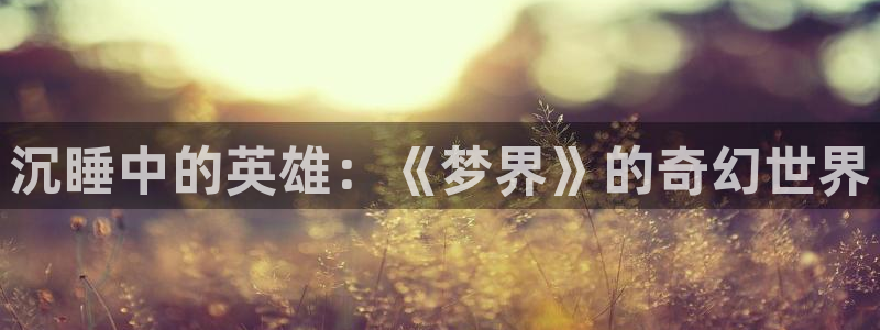 禁锢之欲韩漫漫画：沉睡中的英雄：《梦界》的奇幻世界